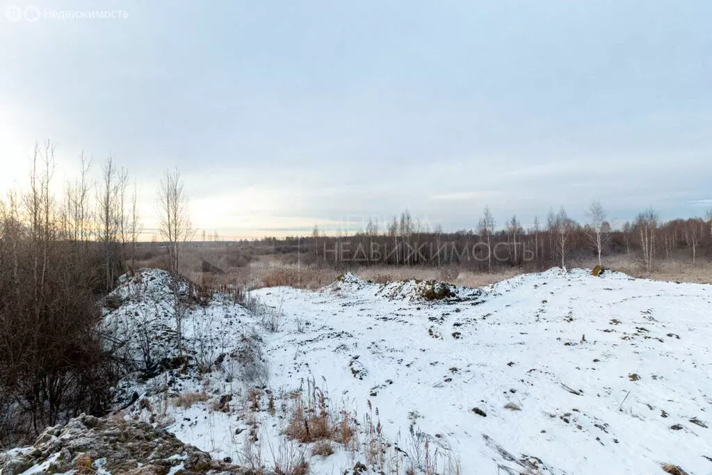 Участок в СНТ Березняки (6.49 м) - Фото 1