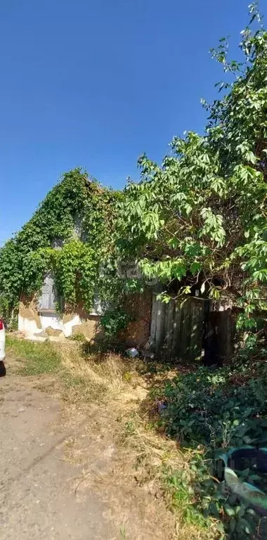 Участок в Адыгея, Майкоп ул. Хакурате (5.3 сот.) - Фото 1