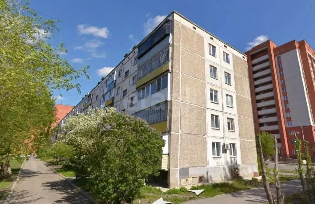 3-к кв. Курганская область, Курган Сибирская ул., 19 (64.5 м) - Фото 1