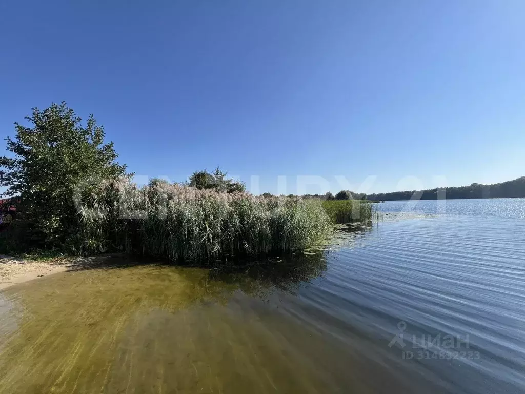 Дом в Липецкая область, Липецк ул. Имени Димитрова, 59 (55 м) - Фото 0