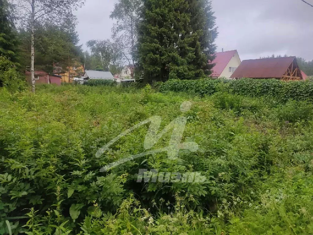Продается участок в д. Дергаево - Фото 1