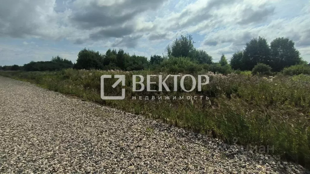 Участок в Костромская область, Кострома ул. Героев (8.1 сот.) - Фото 1