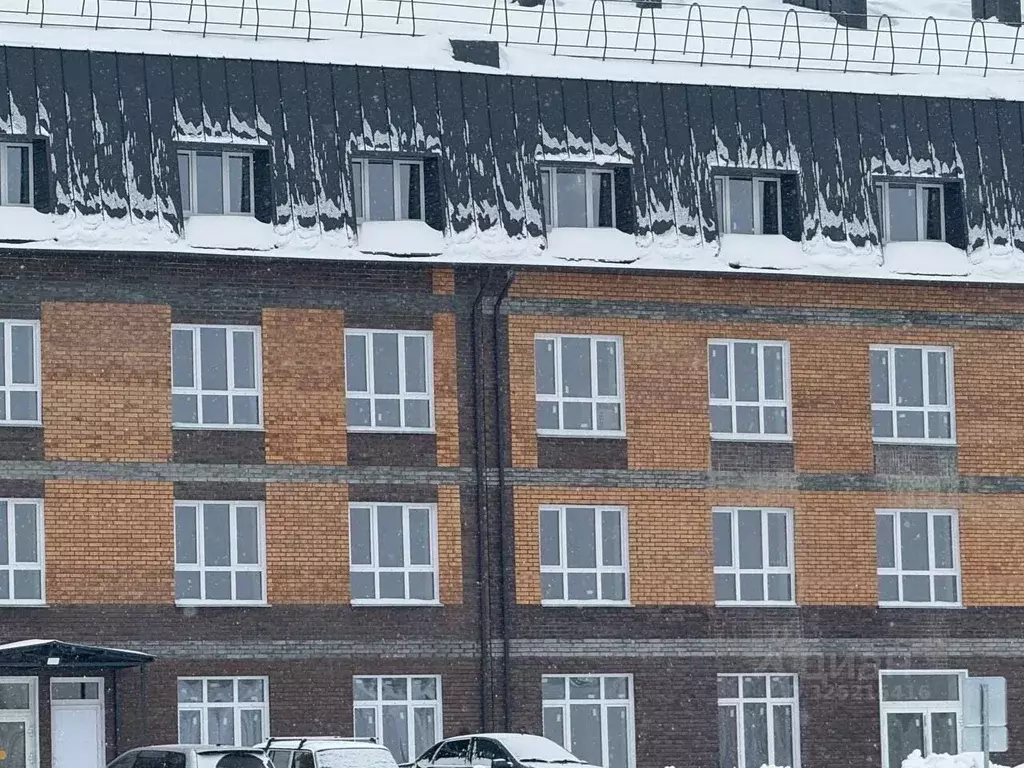 Помещение свободного назначения в Новосибирская область, Бердск ул. ... - Фото 2