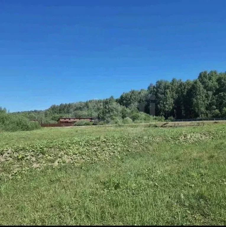 Участок в Костромская область, Кострома Ручеек СНТ, 32 (12.15 сот.) - Фото 2