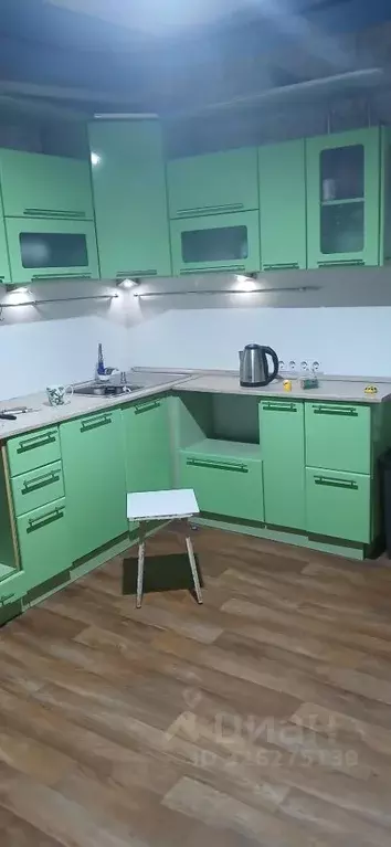 2-к кв. Новосибирская область, Новосибирск ул. Оловозаводская, 18 ... - Фото 1