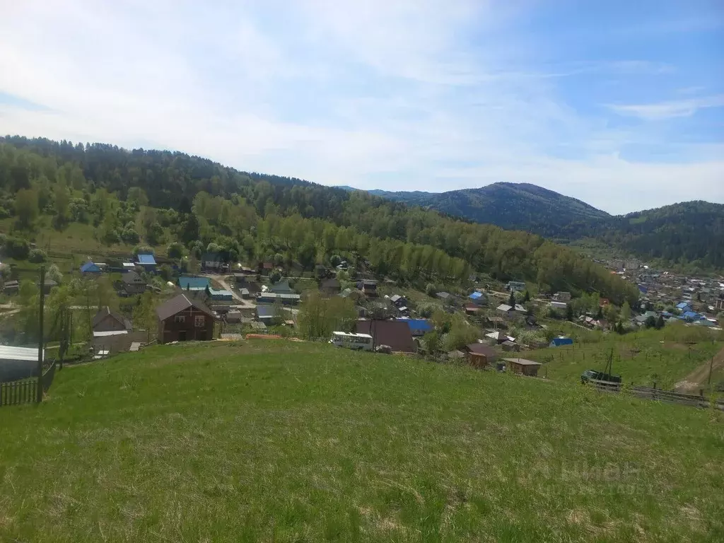 Участок в Алтай, Майминский район, с. Кызыл-Озек ул. Грушевая, 4 ... - Фото 1