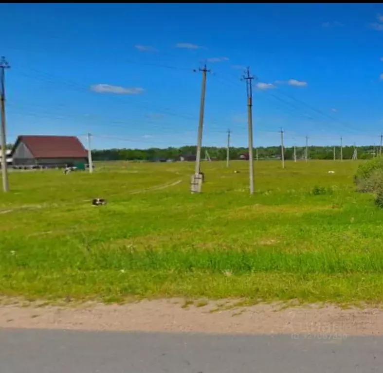 Участок в Новгородская область, Сольцы г. Солецкий муниципальный ... - Фото 1