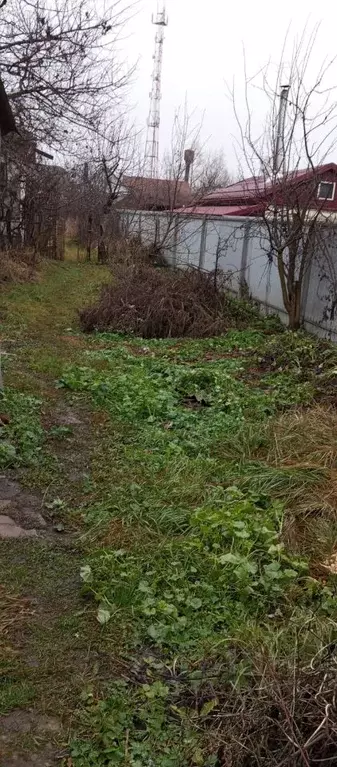 Участок в Воронежская область, Новоусманский район, пос. Воля ... - Фото 1