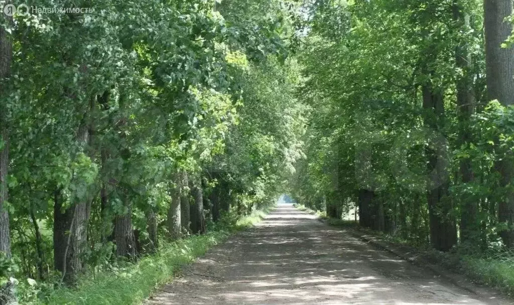 Участок в Волосовский район, Бегуницкое сельское поселение, деревня ... - Фото 1