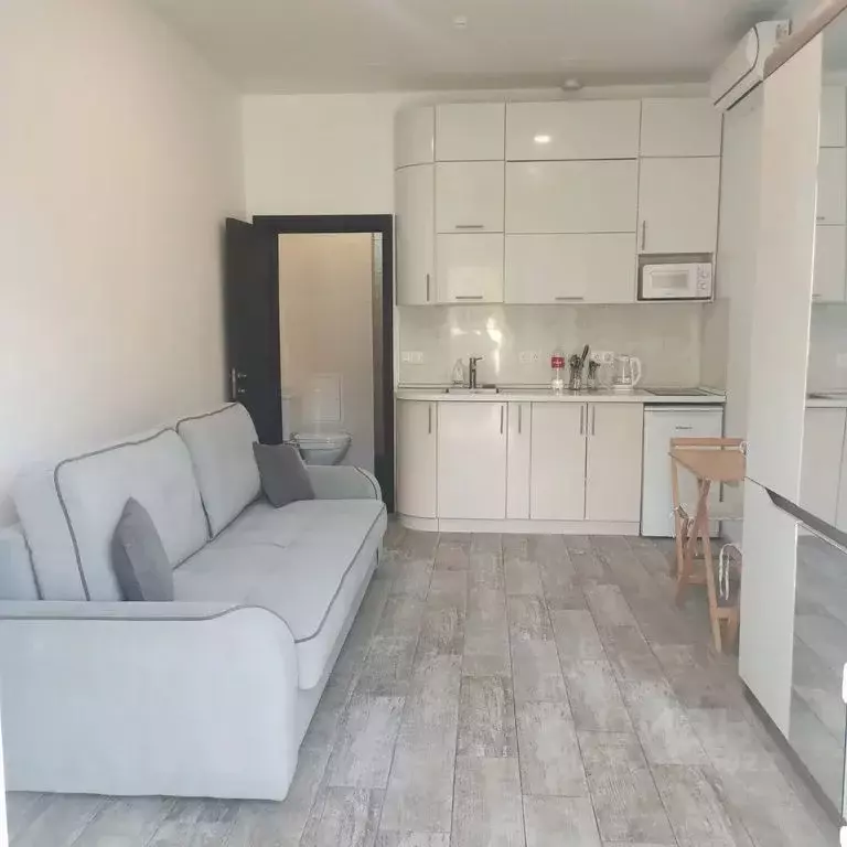 Студия Краснодарский край, Сочи ул. Аллея Челтенхема, 8/8 (24.0 м) - Фото 0