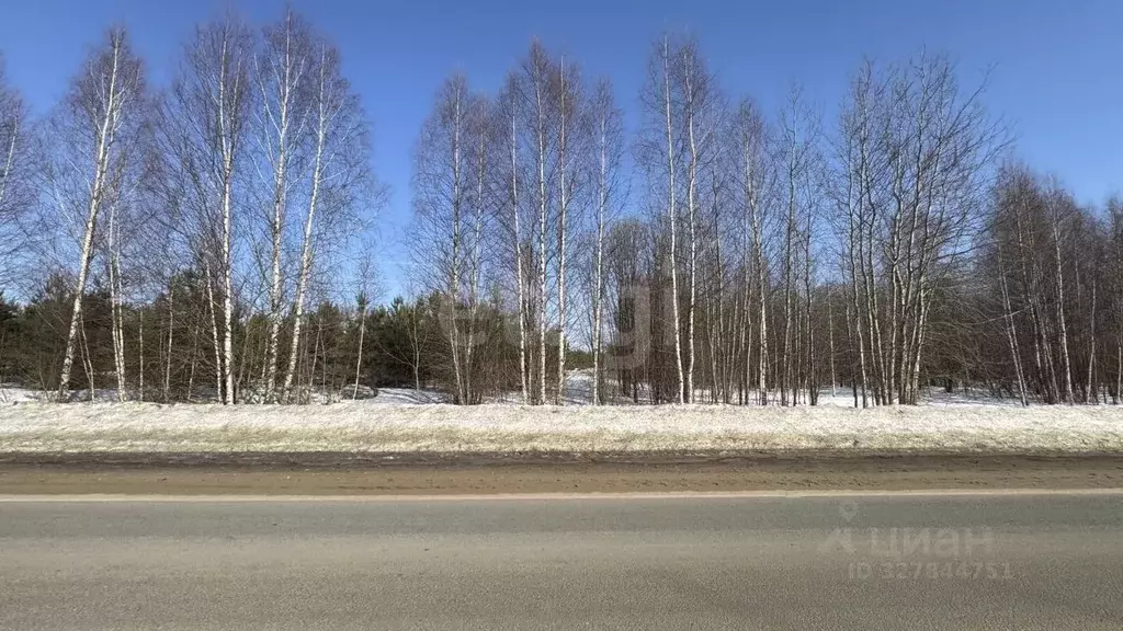 Участок в Ярославская область, Некрасовский муниципальный округ, д. ... - Фото 1