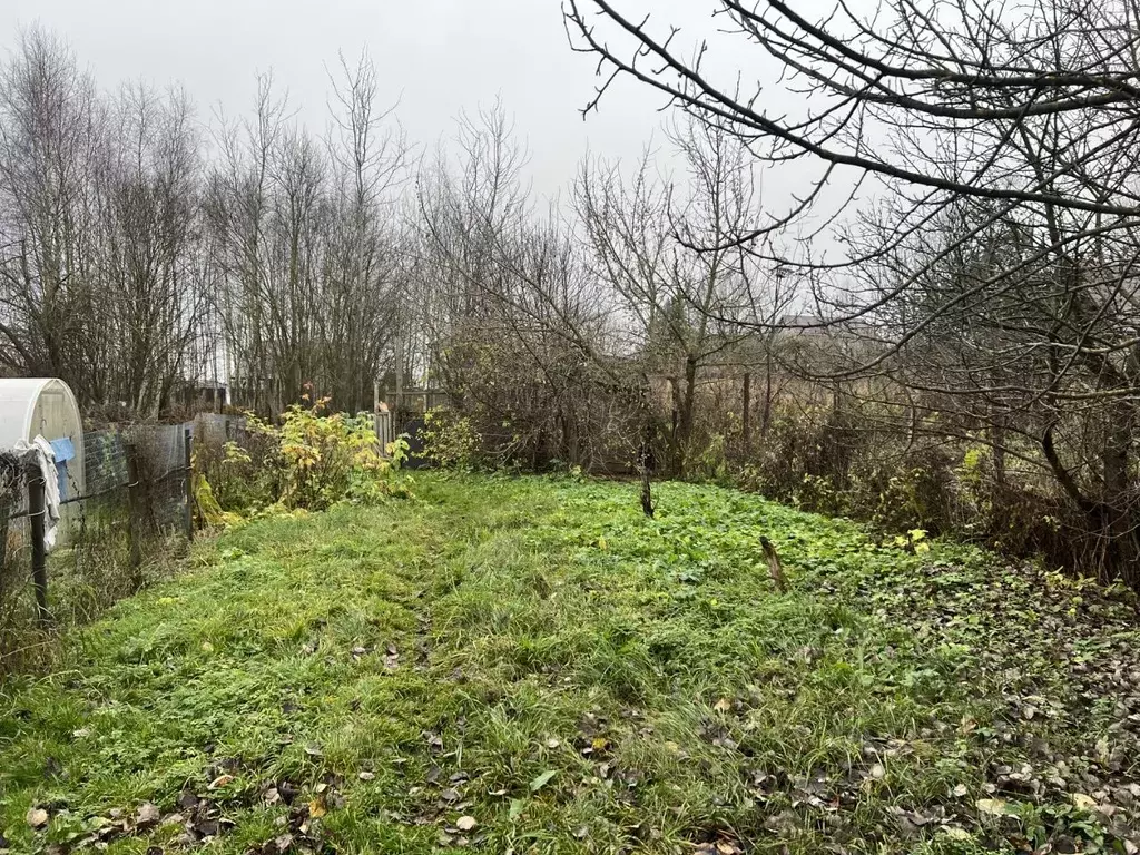 Участок в Московская область, Солнечногорск городской округ, д. ... - Фото 1