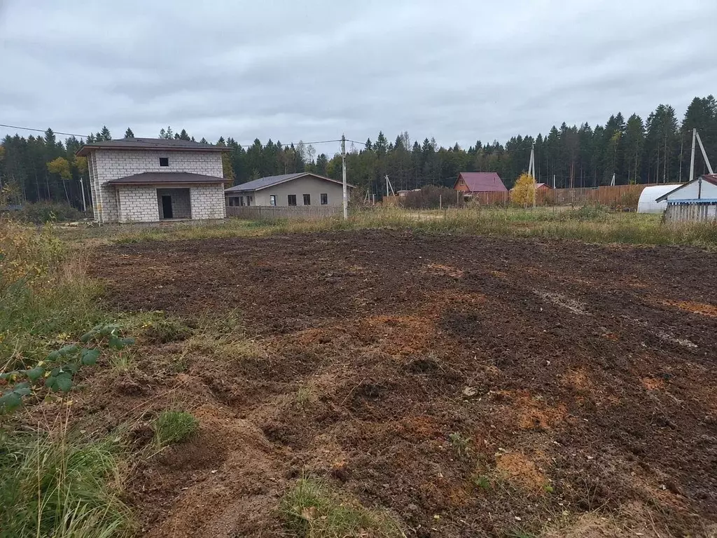 Участок в Ленинградская область, Сертолово Всеволожский район, ул. ... - Фото 2