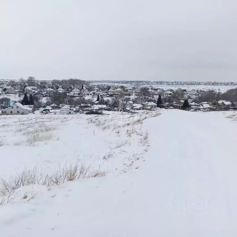 Участок в Алтайский край, Барнаул городской округ, Поселок Казенная ... - Фото 0