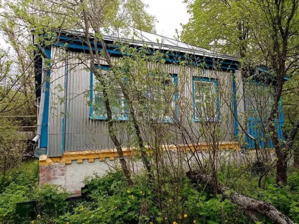 Дом в Белгородская область, Новооскольский муниципальный округ, с. ... - Фото 2