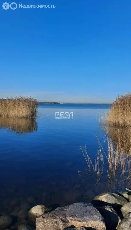 Дом в Выборгский район, Приморское городское поселение, посёлок ... - Фото 2