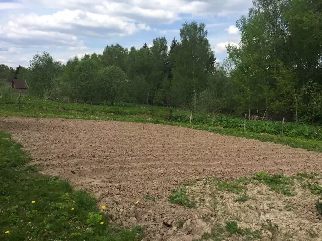 Участок в Московская область, Можайский муниципальный округ, с. ... - Фото 2