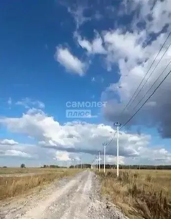Участок в Свердловская область, Тугулымский муниципальный округ, с. ... - Фото 2