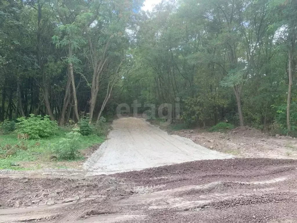 Участок в Курская область, Курский район, Нижнемедведицкий сельсовет, ... - Фото 1