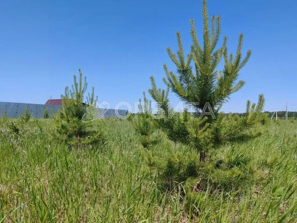 Участок в Тюменская область, Тюменский район, с. Кулига, Кулига-2 мкр  ... - Фото 1