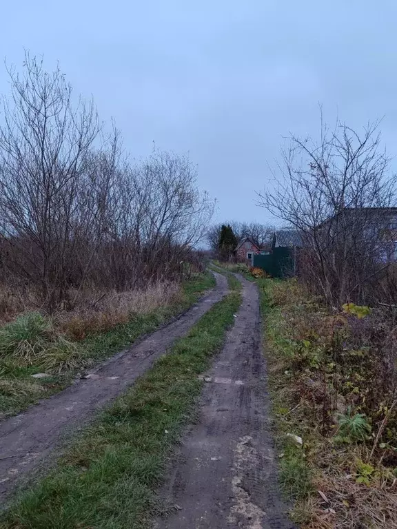 Участок в Калининградская область, Гусев Металлист СОТ,  (6.0 сот.) - Фото 1