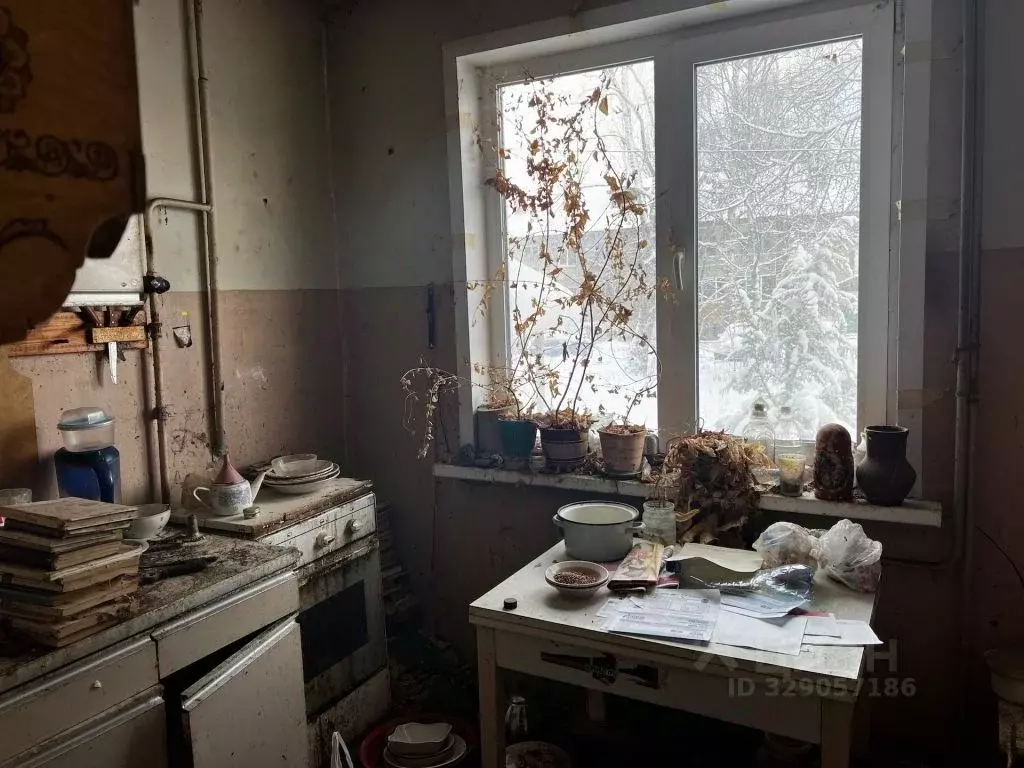 1-к кв. Владимирская область, Суздаль Советская ул., 12 (30.0 м) - Фото 1