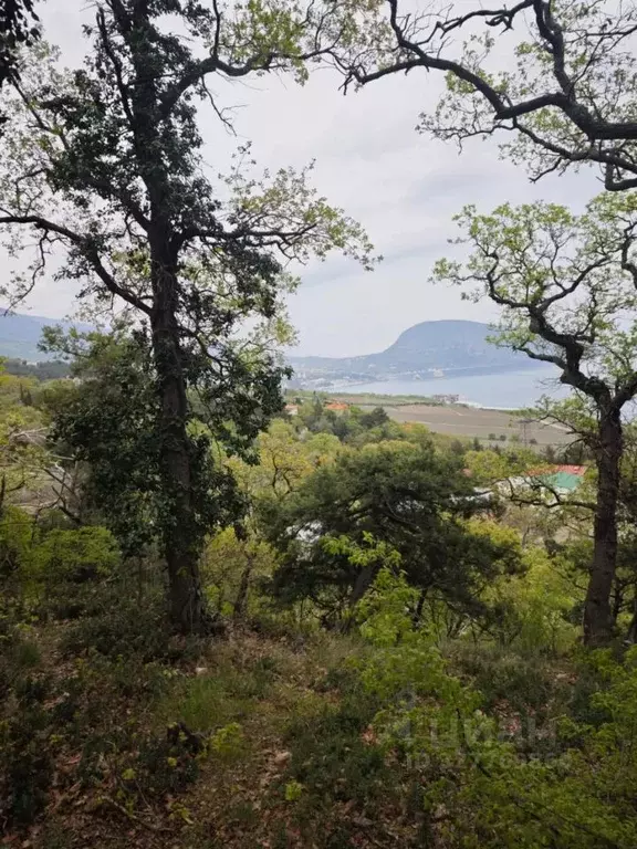 Участок в Крым, Ялта муниципальный округ, пос. Даниловка ул. Тенистая ... - Фото 2