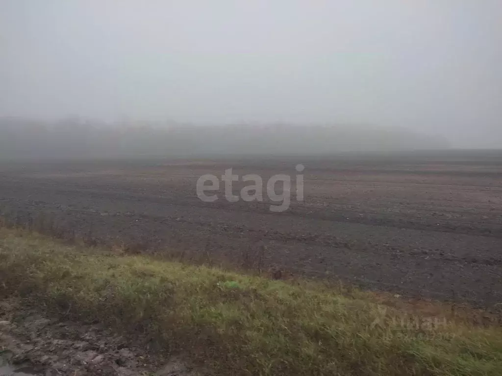 Участок в Белгородская область, Красногвардейский район, Ливенское ... - Фото 1