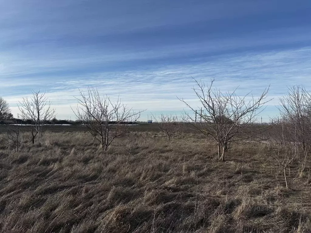 Участок в Ростовская область, Неклиновский район, Поляковское с/пос, ... - Фото 1