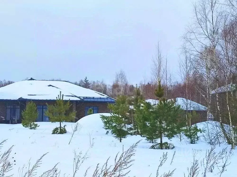 Участок в Калужская область, Перемышльский муниципальный округ, ... - Фото 1