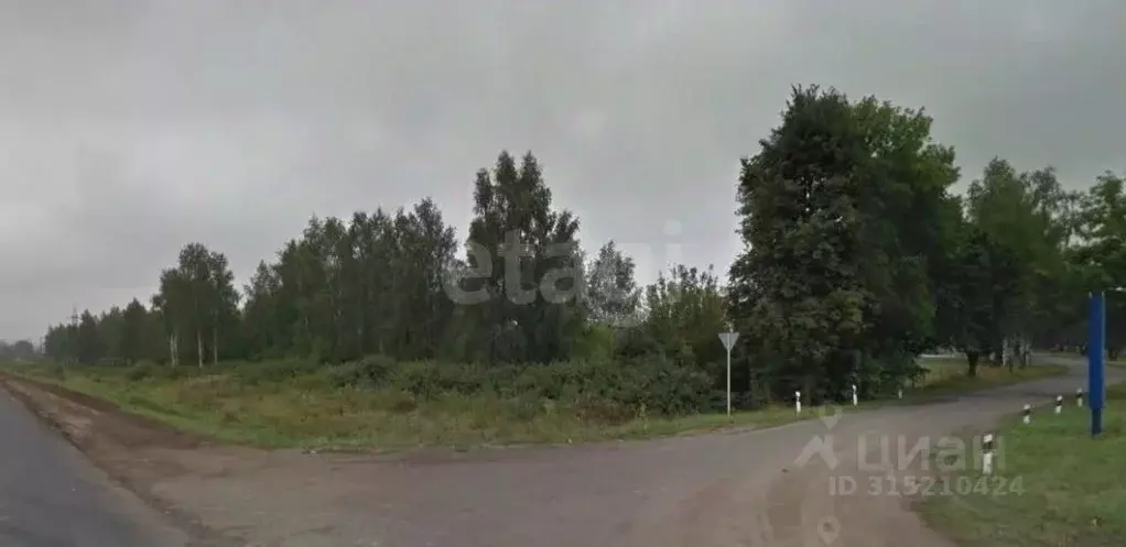 Участок в Брянская область, Карачев  (511.0 сот.) - Фото 1