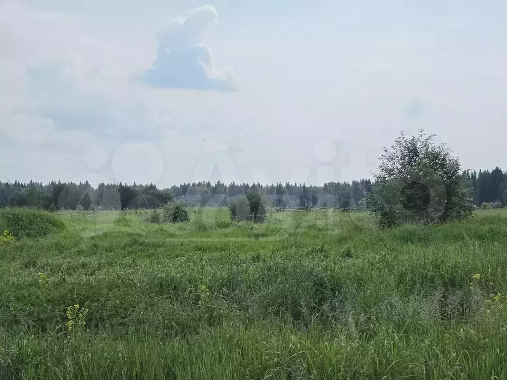 Участок 28 сот. (ИЖС) - Фото 0
