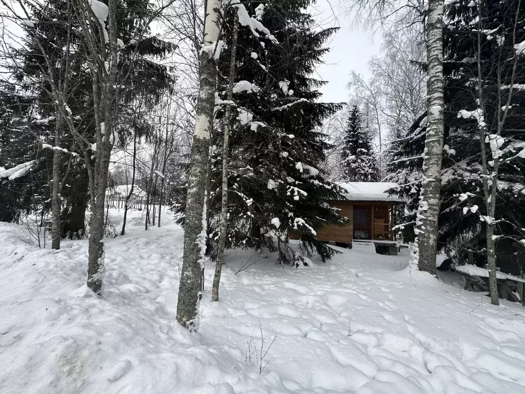 Дом в Ленинградская область, Всеволожский район, Куйвозовское с/пос, ... - Фото 2
