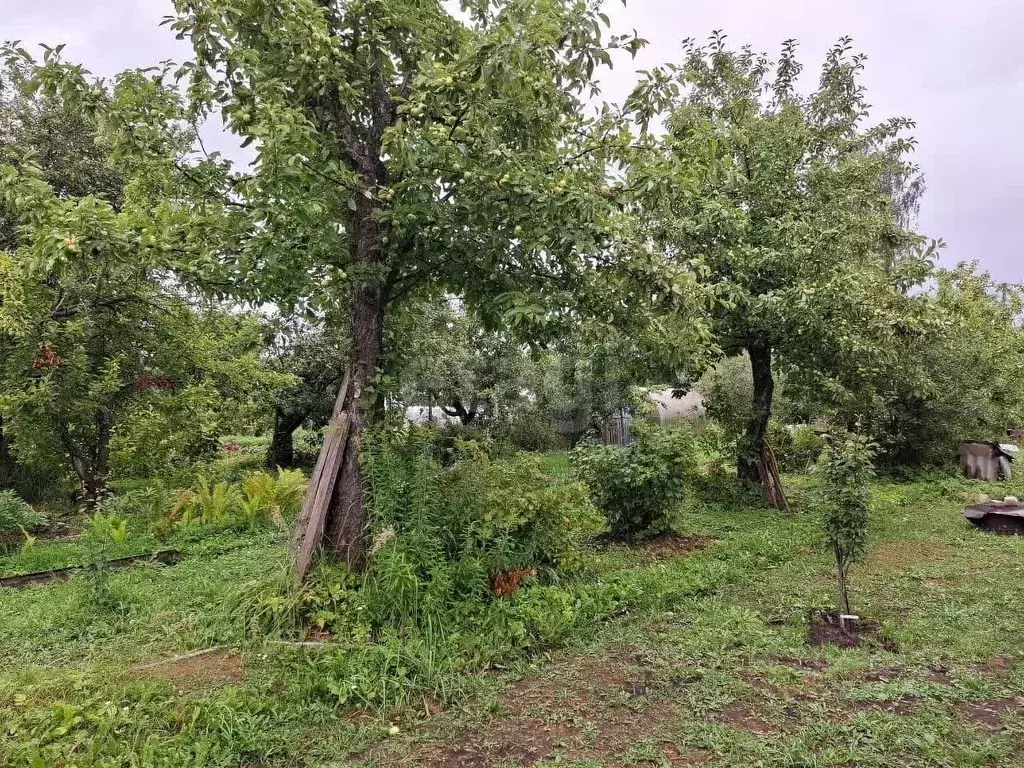 Дом в Костромская область, Кострома Энергетик садоводческое ... - Фото 1