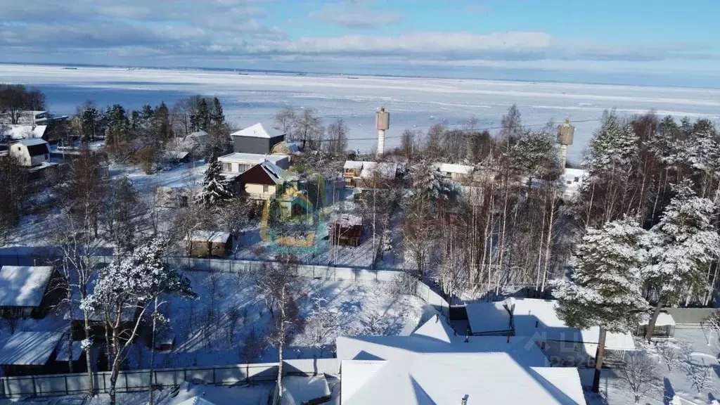 Участок в Ленинградская область, Ломоносовский район, Лебяженское ... - Фото 1