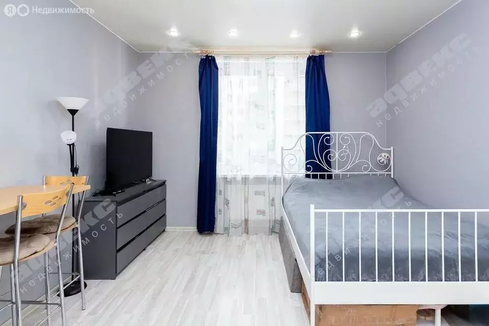 Квартира-студия: Санкт-Петербург, Русановская улица, 19к1 (27.3 м) - Фото 2
