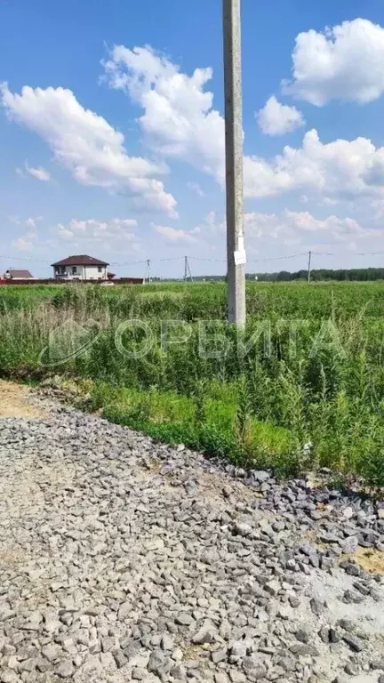Участок в Тюменская область, Тюменский муниципальный округ, с. Борки  ... - Фото 0