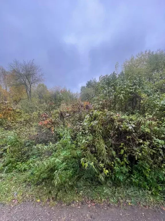 Участок в Владимирская область, Александров АРЗ-1 СНТ,  (7.0 сот.) - Фото 2