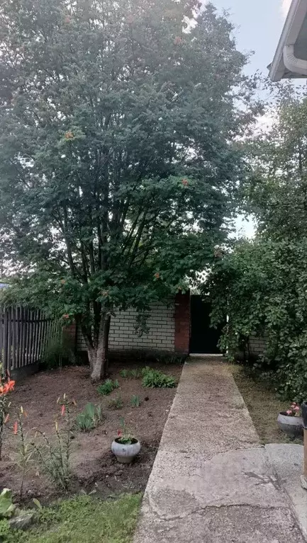 Дом в Алтайский край, Барнаул городской округ, пос. Новомихайловка  ... - Фото 2