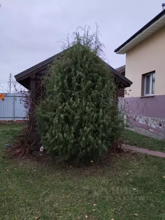 Дом в Московская область, Раменский городской округ, д. Первомайка ул. ... - Фото 1