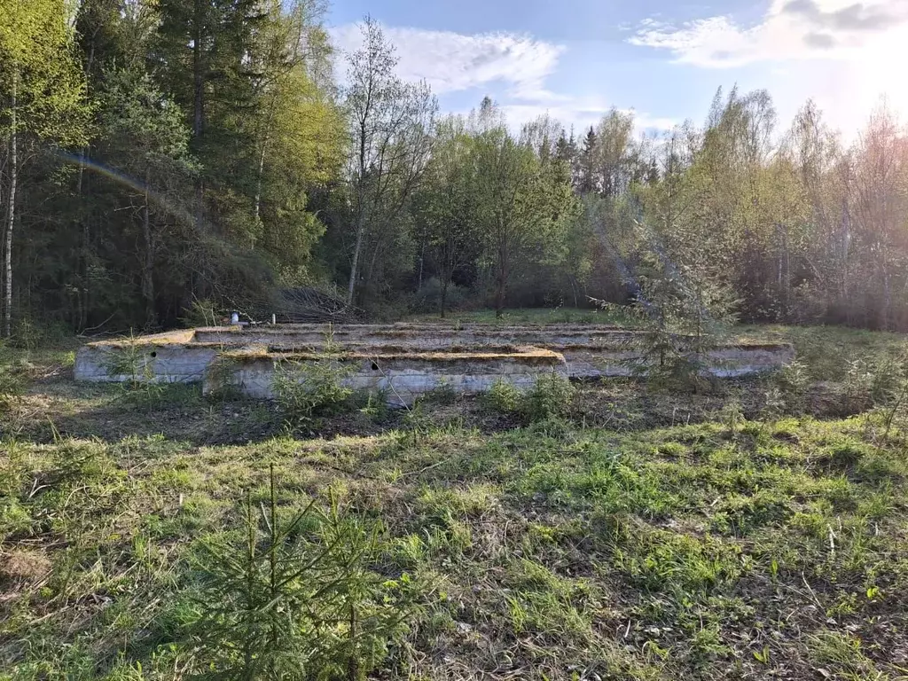 Участок в Владимирская область, Александровский район, Каринское ... - Фото 0