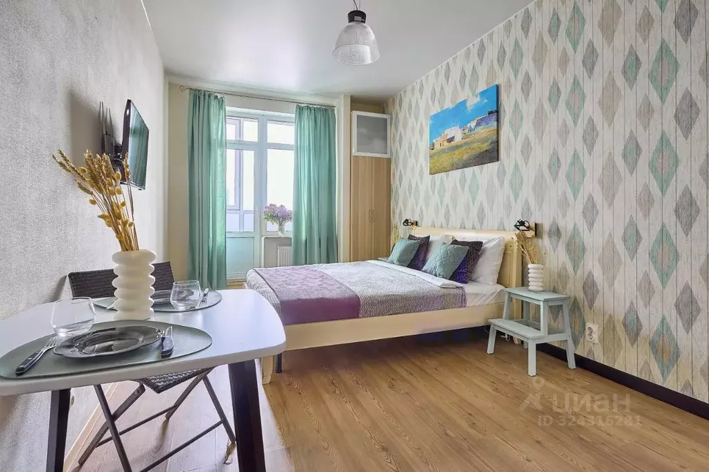 1-к кв. Санкт-Петербург просп. Народного ополчения, 10 (24.0 м) - Фото 2