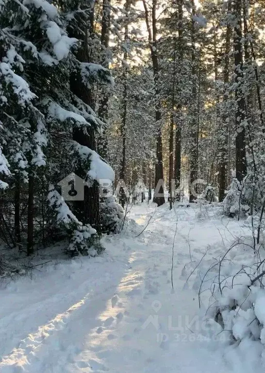 Участок в Татарстан, с. Высокая Гора ул. Татарстан (10.71 сот.) - Фото 1