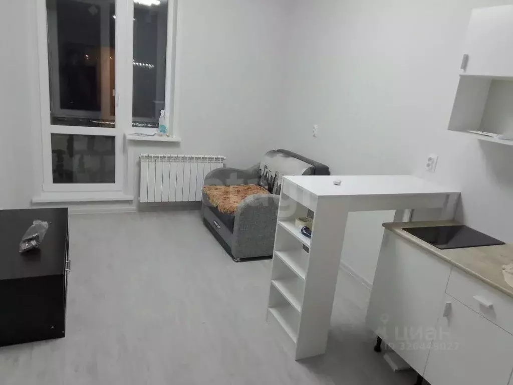 Студия Мордовия, Саранск ул. Анны Лусс, 7В (21.0 м) - Фото 1