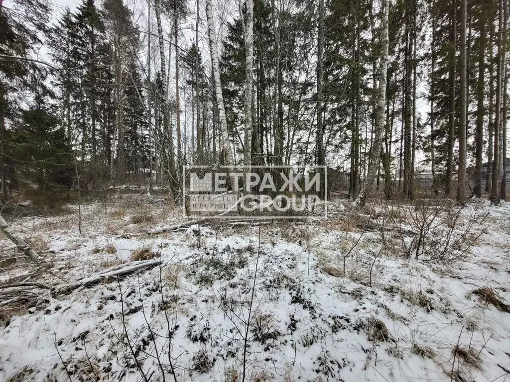 Участок в Московская область, Балашиха СНТ Заря тер.,  (10.0 сот.) - Фото 1