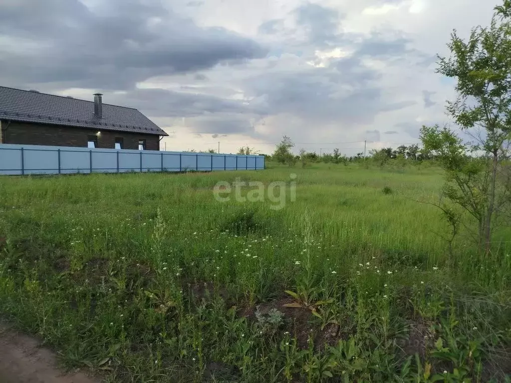 Участок в Воронежская область, с. Новая Усмань ул. Кулибина (10.0 ... - Фото 0