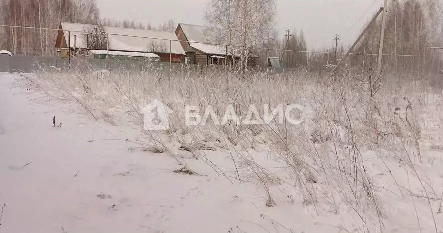 Участок в Новосибирская область, Мошковский район, пос. Октябрьский ... - Фото 1