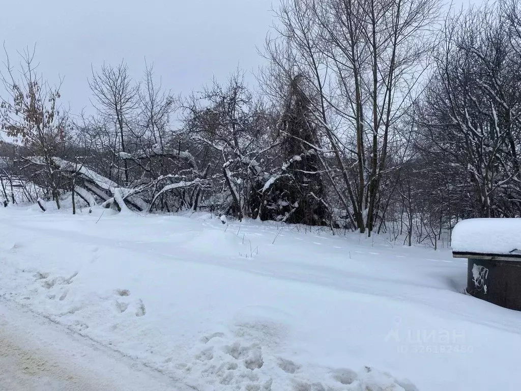 Участок в Московская область, Зарайск муниципальный округ, д. Струпна  ... - Фото 2