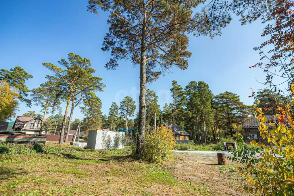 Участок в Новосибирская область, Искитимский район, с. Тальменка ул. ... - Фото 1