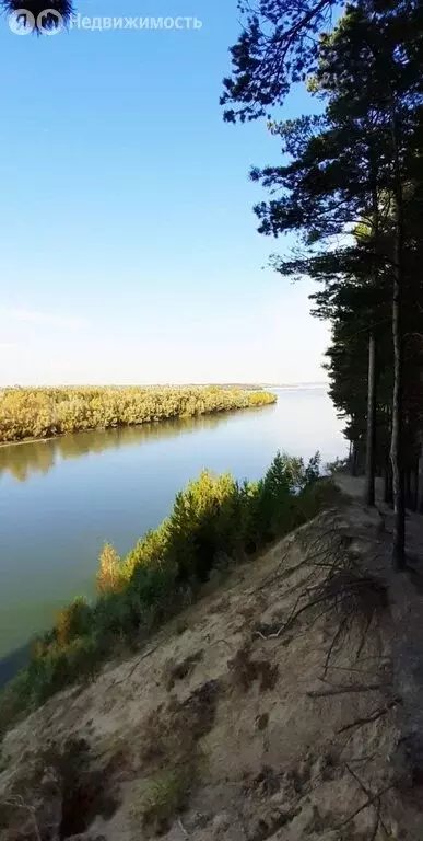 Участок в Мошковский район, село Белоярка (20.87 м) - Фото 1